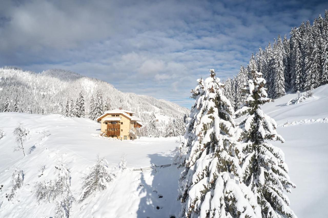 Sotciastel Antico Chalet Бадия Экстерьер фото